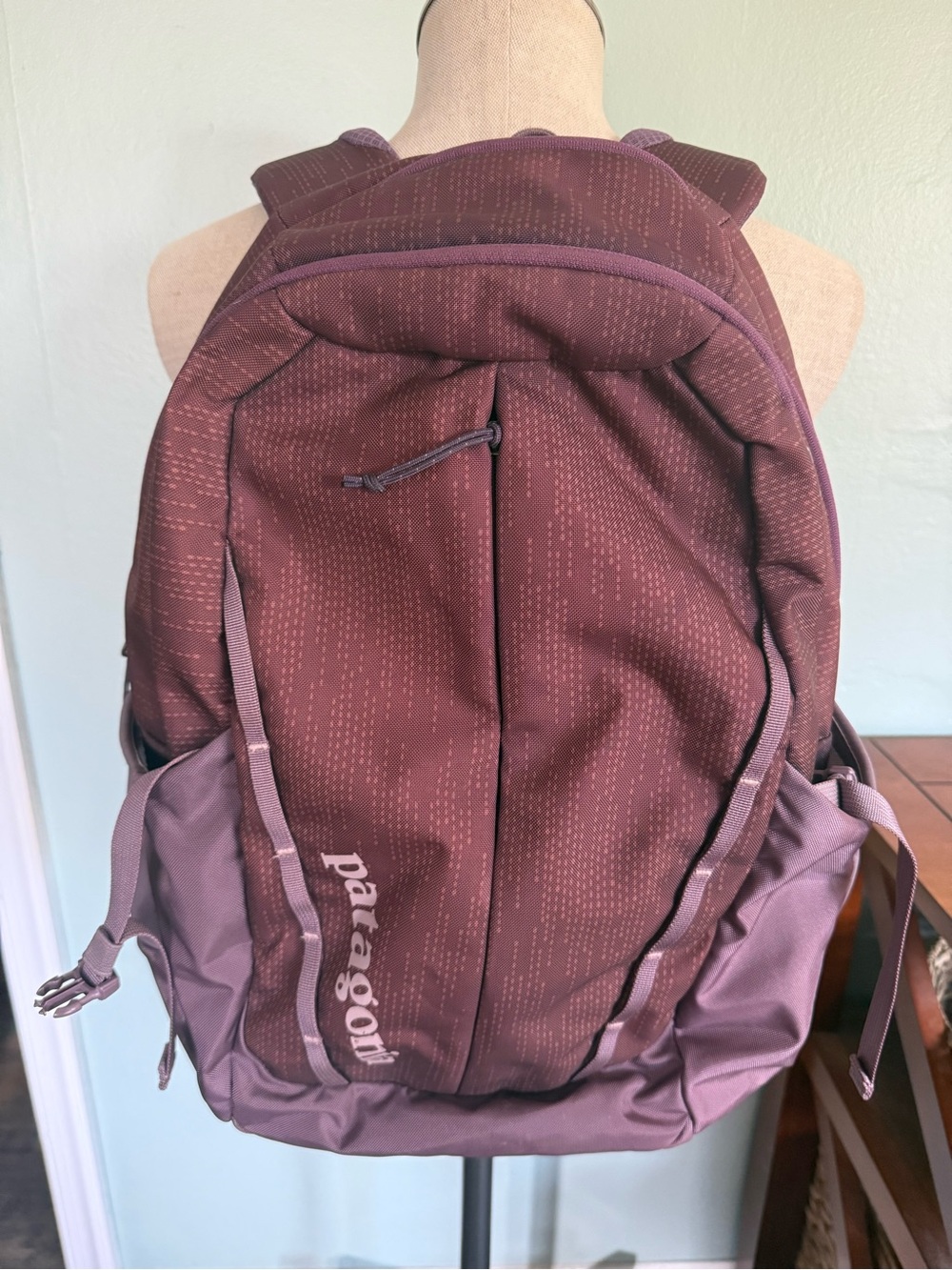 Patagonia Women’s Refugio Dark Purple 26L Hiking Backpack